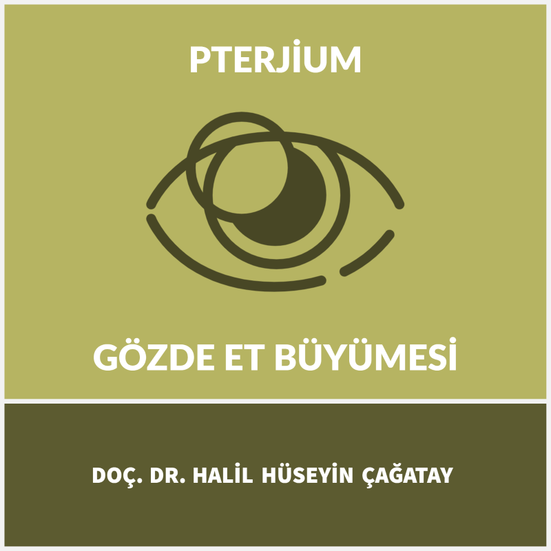 Gözde Et Büyümesi