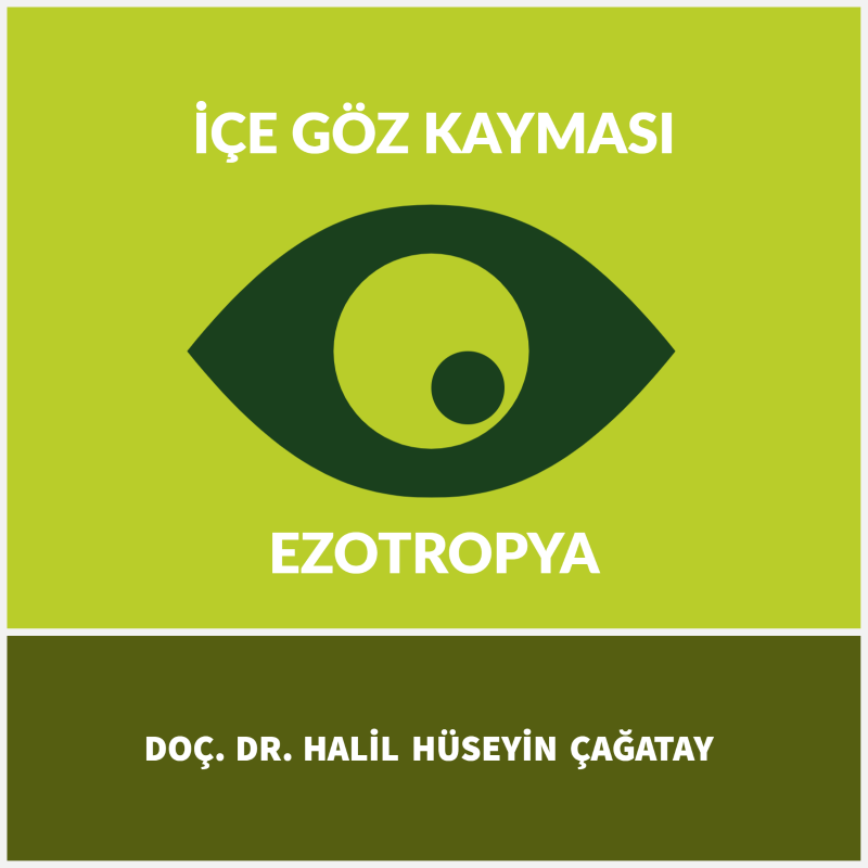 İçe Göz Kayması