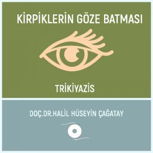 Kirpiklerin Göze Batması
