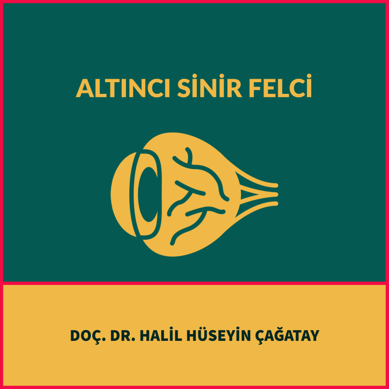 Altıncı Sinir Felci