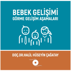 Bebek Gelişimi
