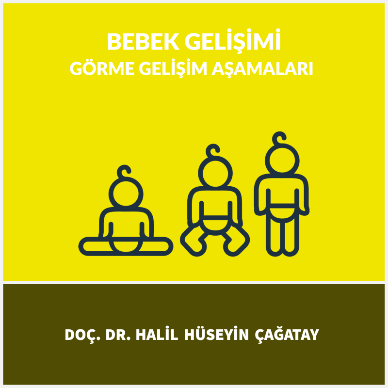 Bebek Gelişimi
