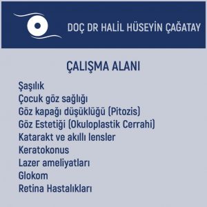 Çalışma Alanları