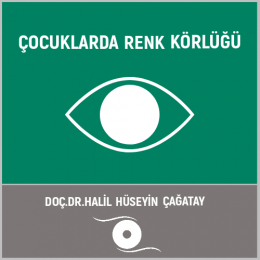 Çocuklarda Renk Körlüğü