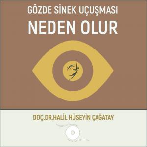 Gözde Sinek Uçuşması