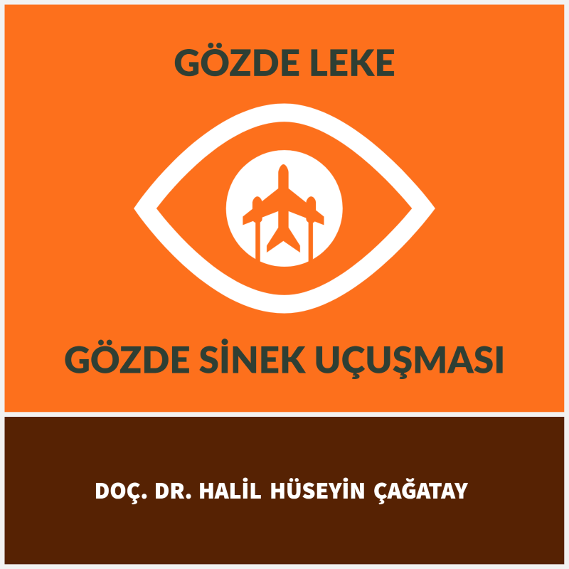 Gözde Sinek Uçuşması