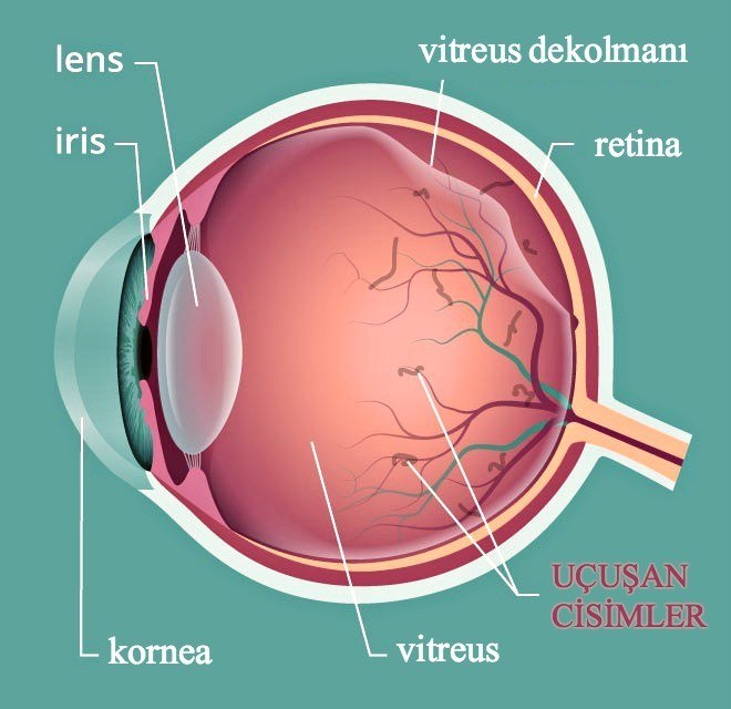 Uçuşan Cisimler