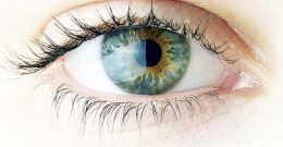Santral Seröz Koryoretinopati