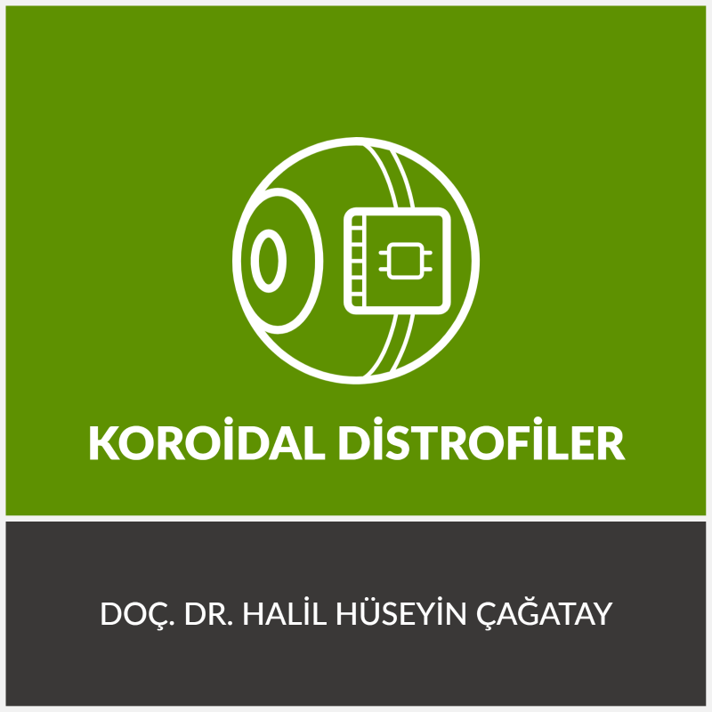 Koroidal Distrofiler