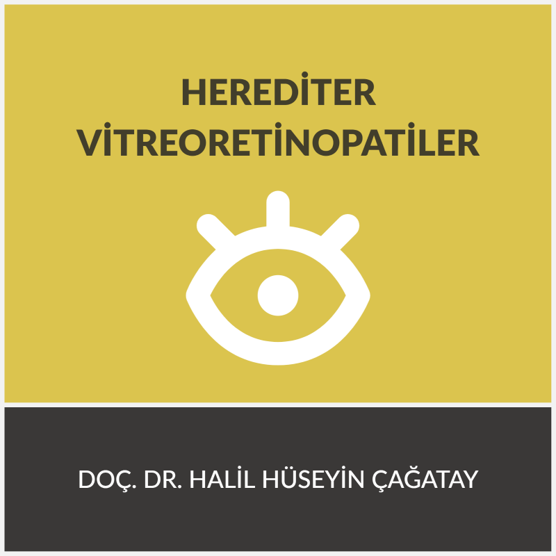 Herediter Vitreoretinopatiler