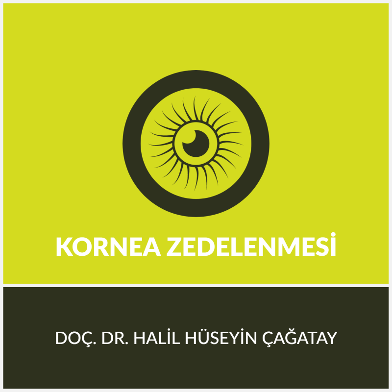 Kornea Zedelenmesi